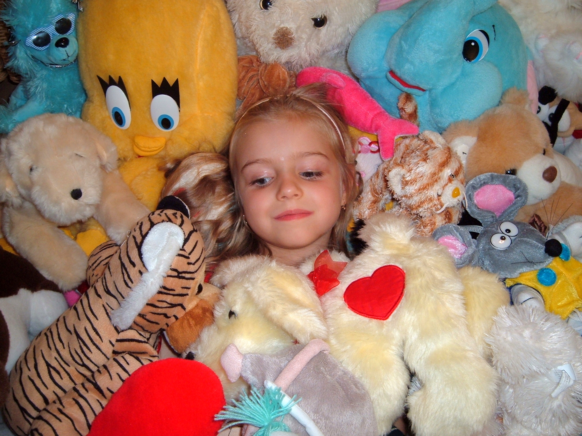 DSCF0825.JPG